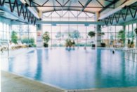 Crowne Plaza Hotel Heathrow Pool