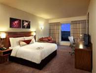 Luton Hilton Hotel Garden Inn - Double Bedroom