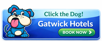 Book Now Click The Dog